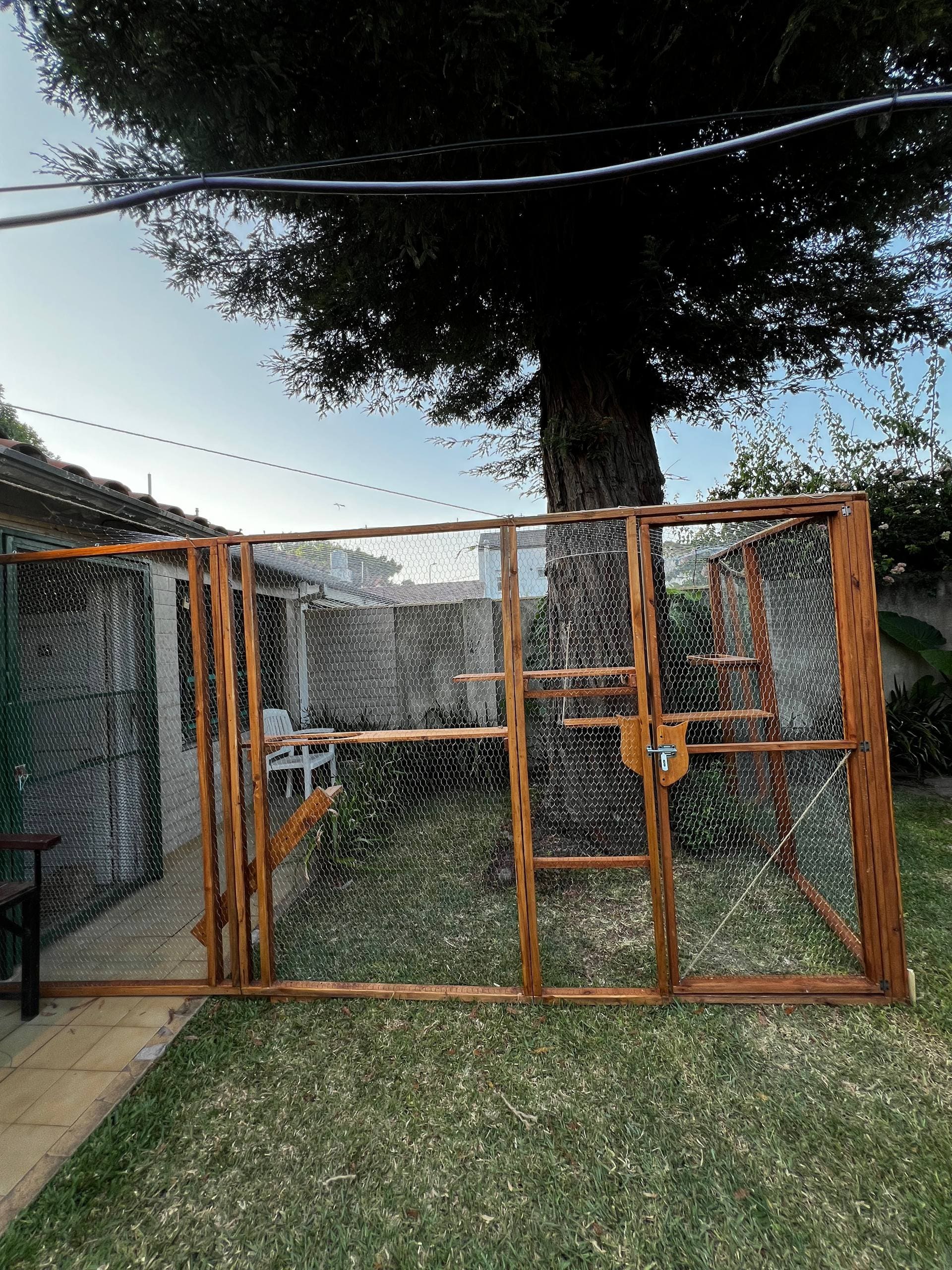 Proyecto de carpintería para mascotas 18