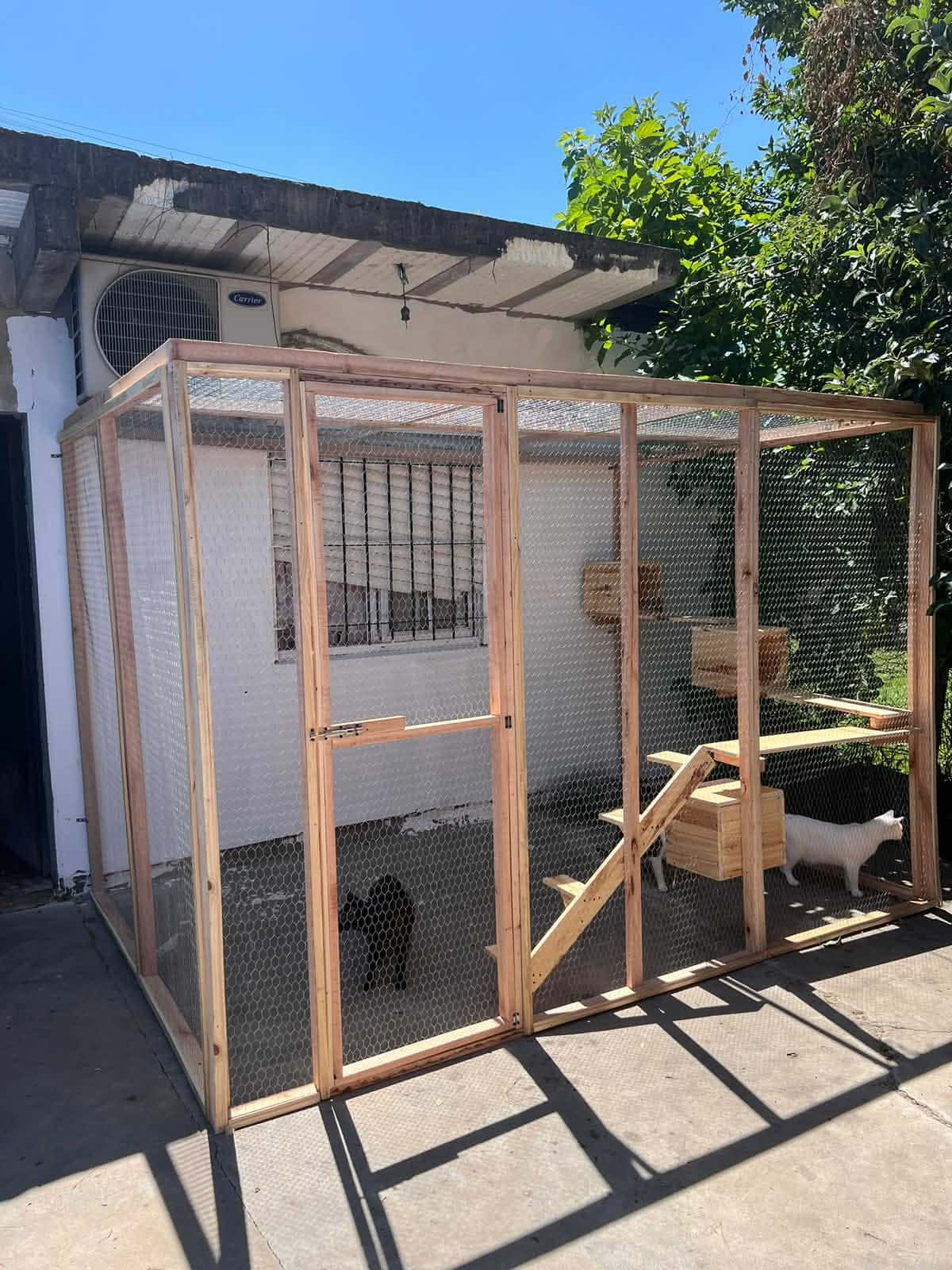 Proyecto de carpintería para mascotas 3